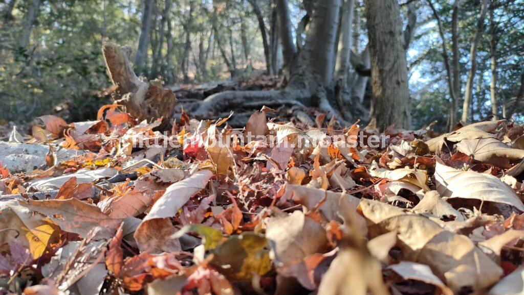 道迷い!東屋から男体拝→前原山と、皆野アルプスへ