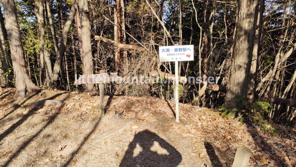 道迷い!東屋から男体拝→前原山と、皆野アルプスへ