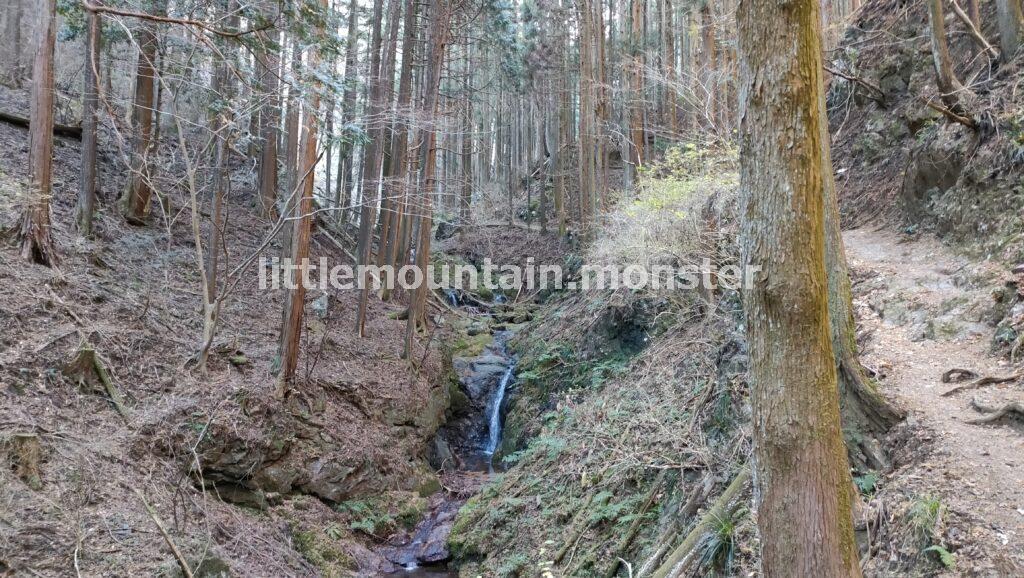 大蔵山コースで、伊豆ヶ岳山頂を目指す