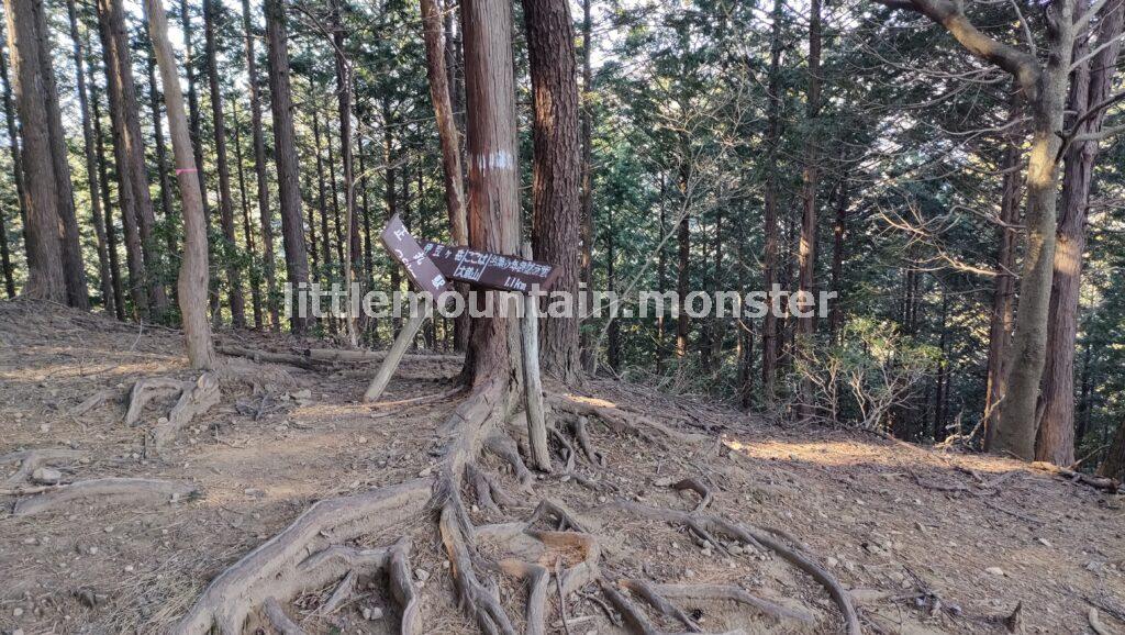 大蔵山コースで、伊豆ヶ岳山頂を目指す