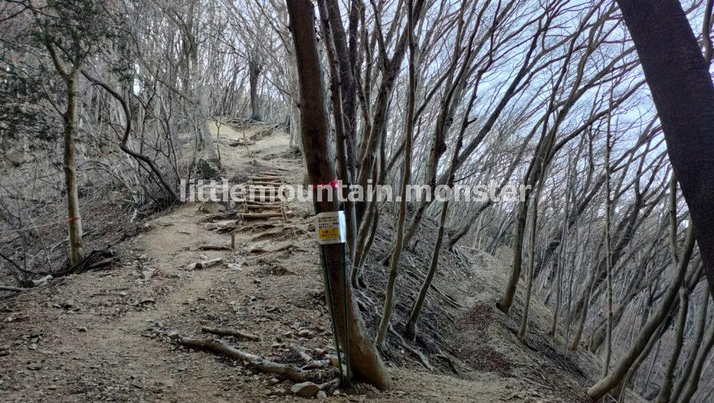 大蔵山コースで、伊豆ヶ岳山頂を目指す