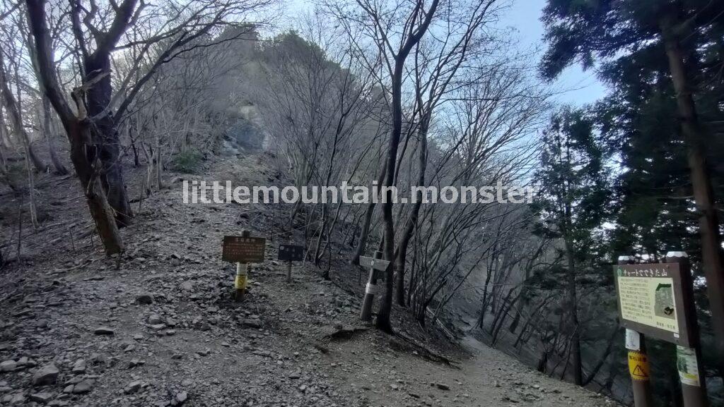 大蔵山コースで、伊豆ヶ岳山頂を目指す