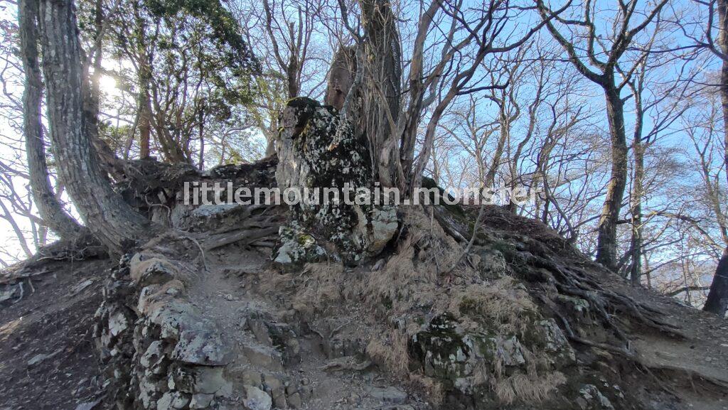大蔵山コースで、伊豆ヶ岳山頂を目指す