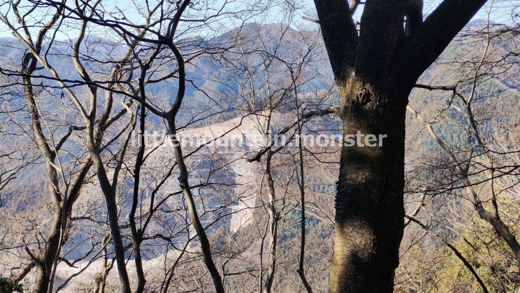 天目指峠を目指して下るはずが…