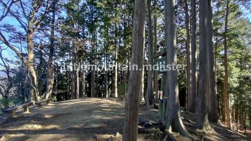 天目指峠を目指して下るはずが…