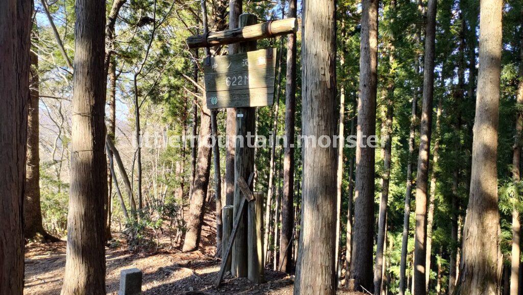 天目指峠を目指して下るはずが…