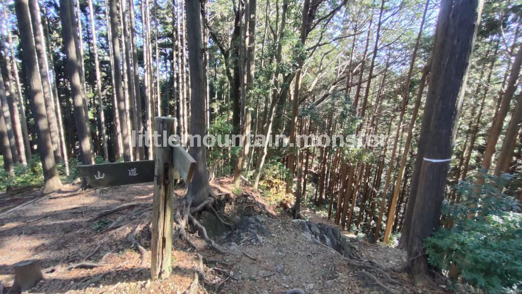 天目指峠を目指して下るはずが…