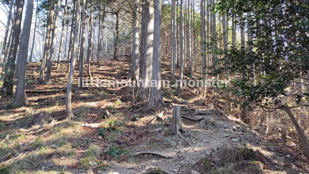 天目指峠を目指して下るはずが…