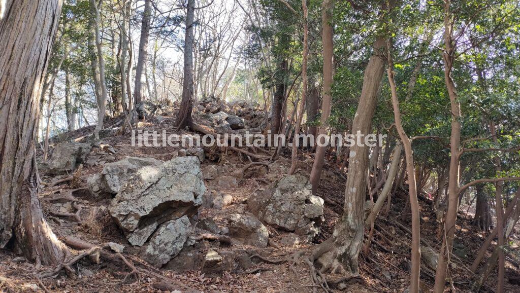天目指峠を目指して下るはずが…