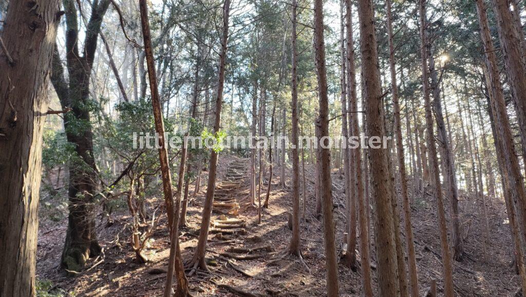 天目指峠を目指して下るはずが…