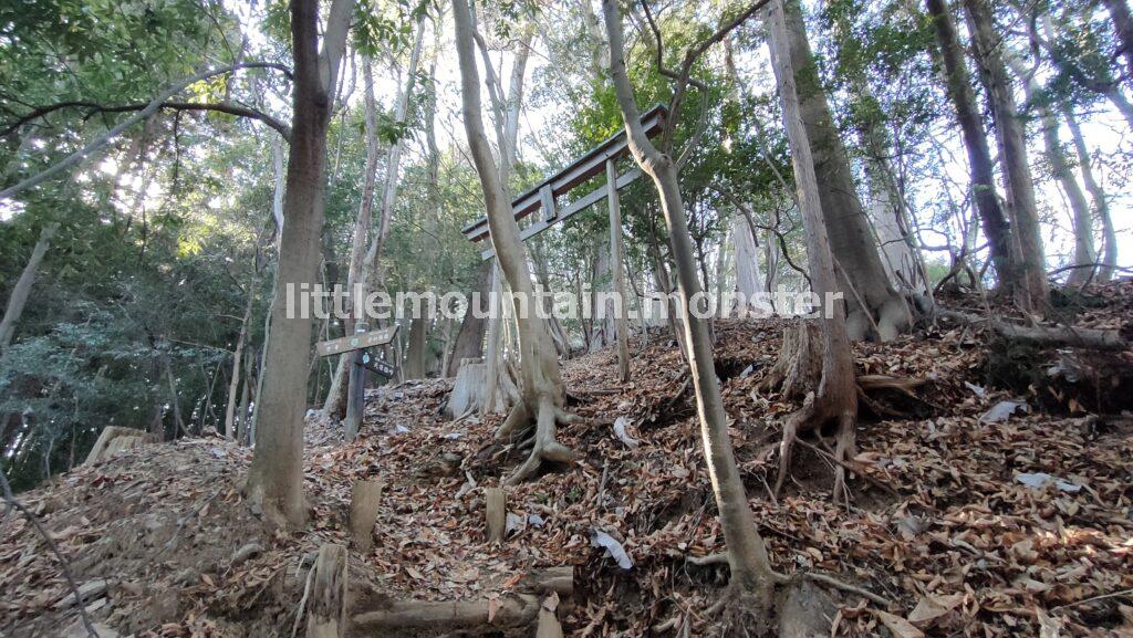天目指峠を目指して下るはずが…