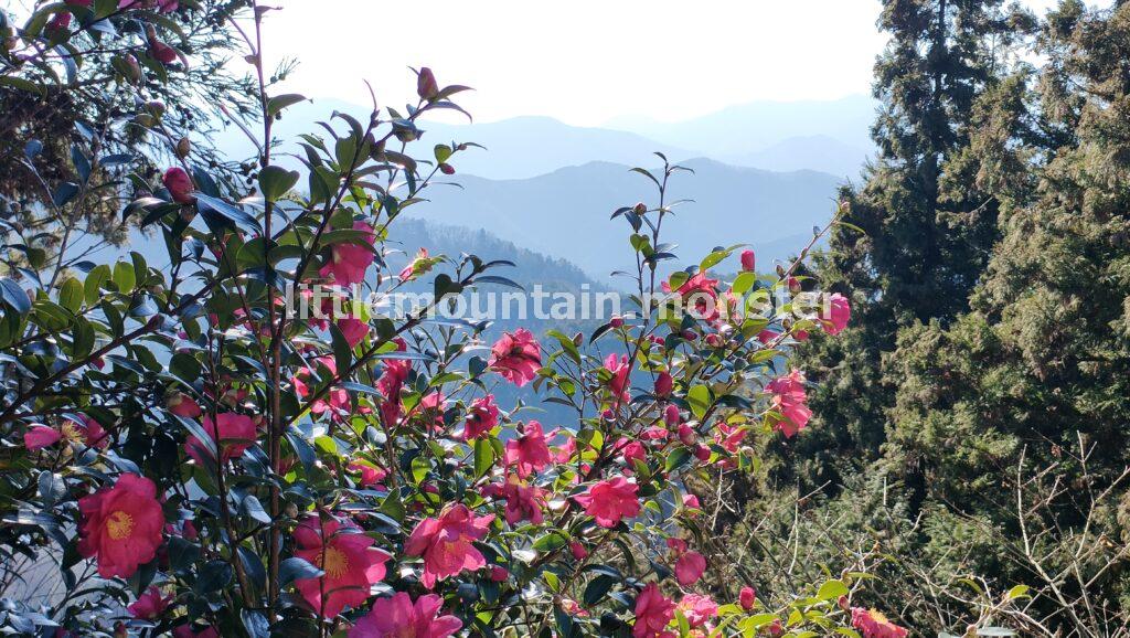 子ノ権現で足腰守護の神仏に手を合わせる