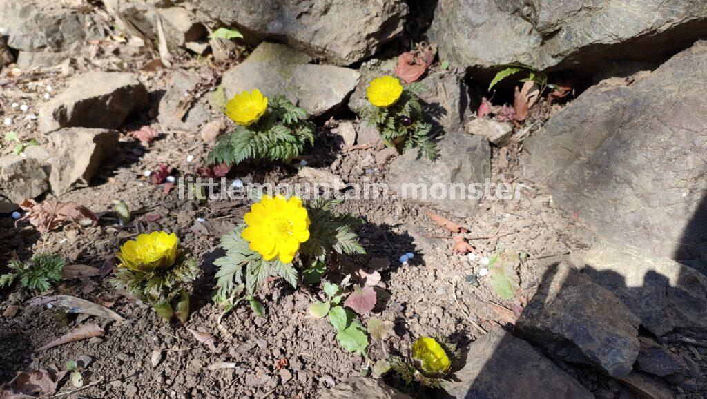 子ノ権現で足腰守護の神仏に手を合わせる