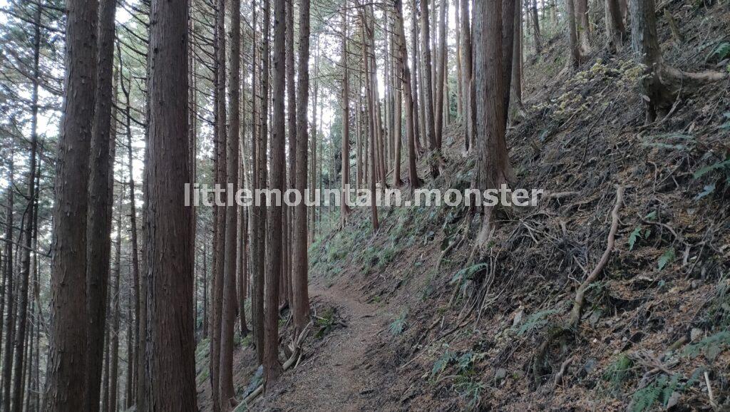 14時でもうす暗い！膝痛をかばいつつ下山