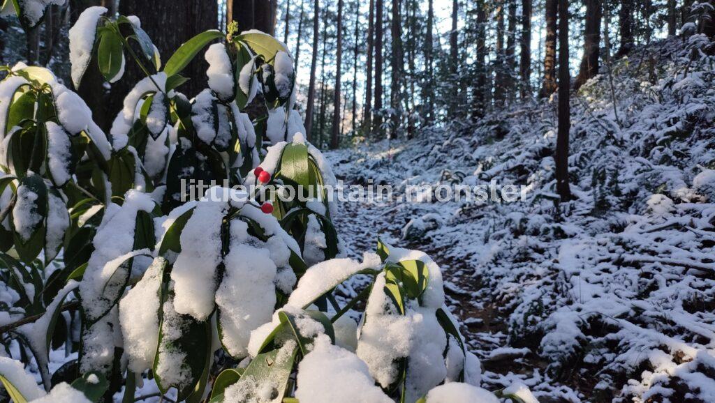 雪が積もり、舞う山道を大高山山頂を目指して登る