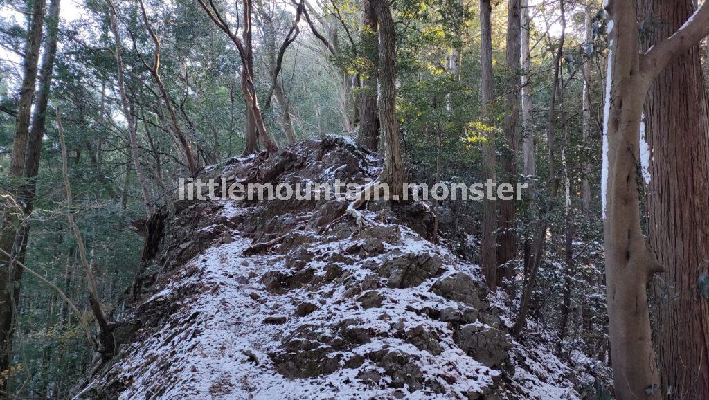 雪が積もり、舞う山道を大高山山頂を目指して登る