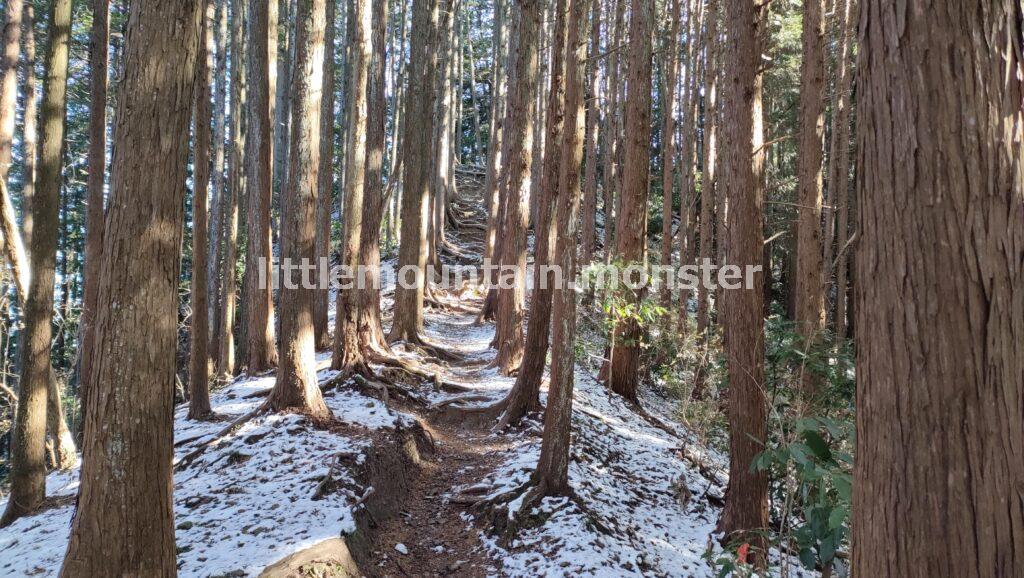 天覚山（446m）へ、アップダウンを繰り返す