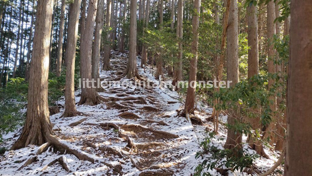 天覚山（446m）へ、アップダウンを繰り返す
