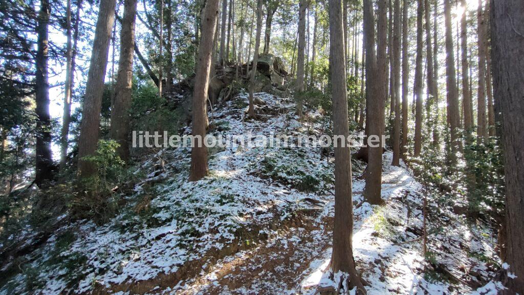 天覚山（446m）へ、アップダウンを繰り返す