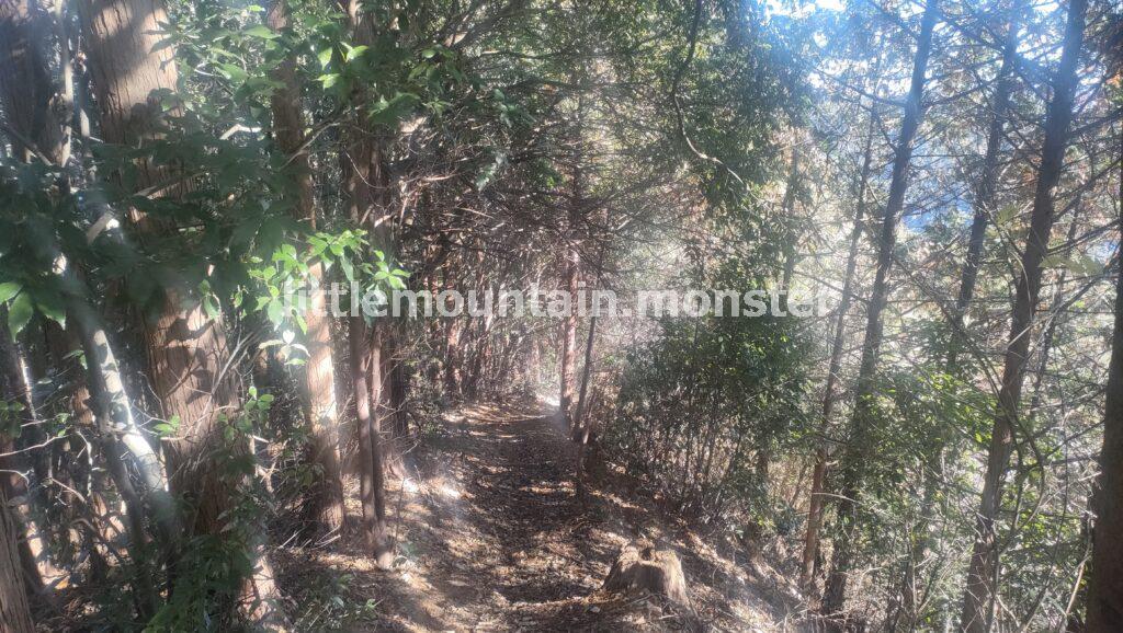 飯能アルプス経由で多峯主山へ縦走するつもりが…