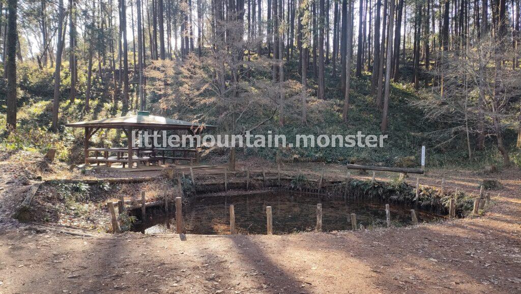 見返り坂を逆走し、天覧山山頂を目指す