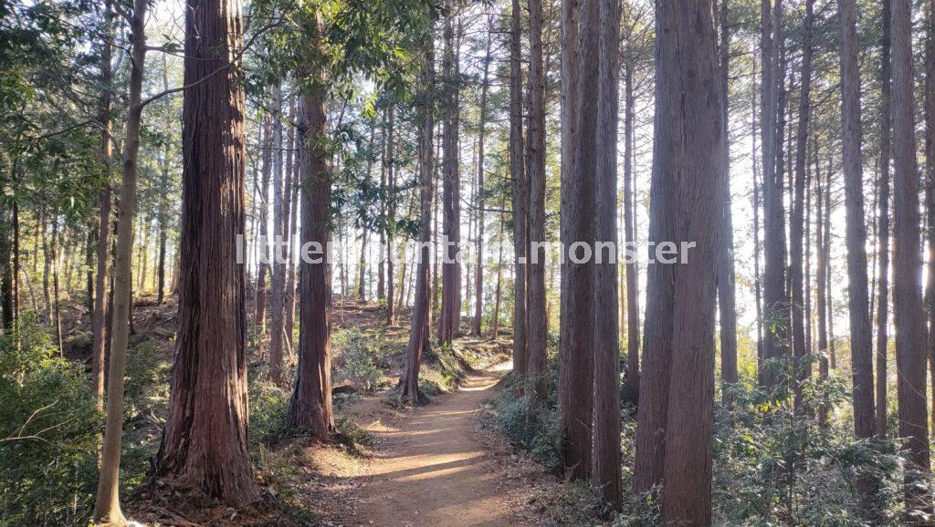 見返り坂を逆走し、天覧山山頂を目指す