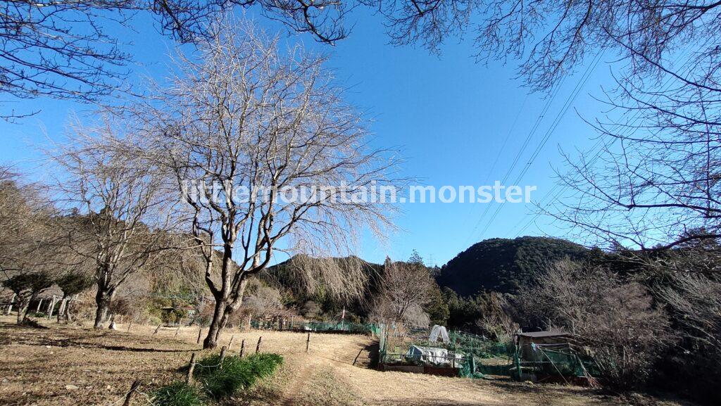 福徳寺 阿弥陀堂→ユガテを目指して復活した飛脚道を歩く