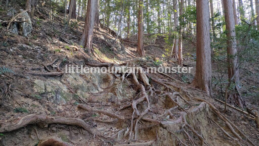 エビガ坂→茶之岳山→危険?岩超え→越上山山頂へ