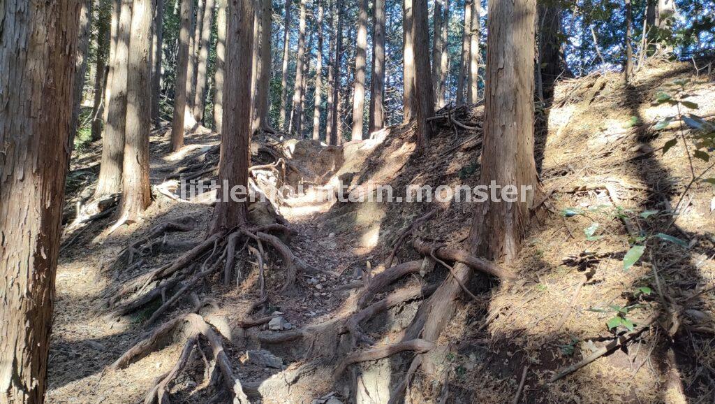 エビガ坂→茶之岳山→危険?岩超え→越上山山頂へ