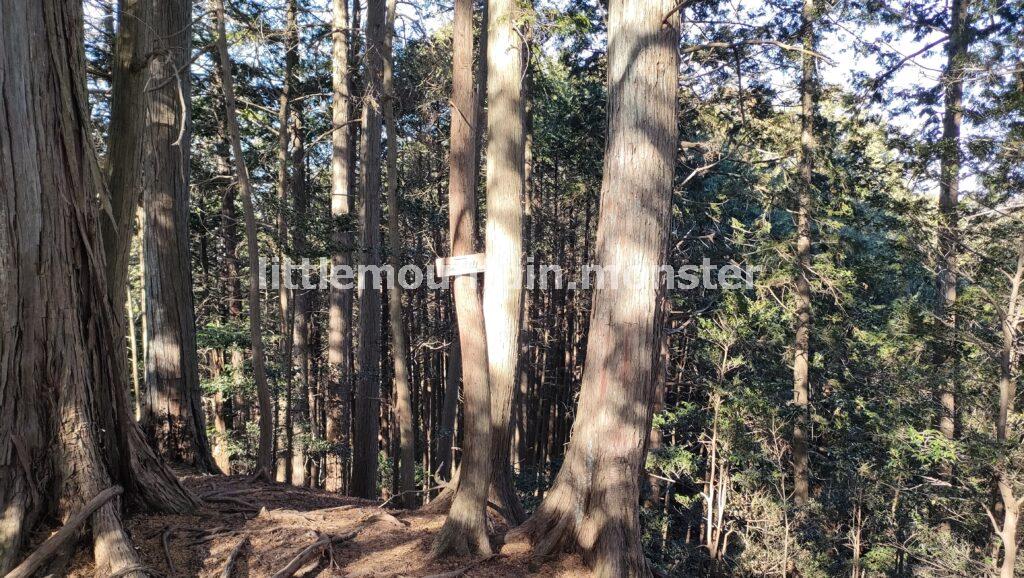 エビガ坂→茶之岳山→危険?岩超え→越上山山頂へ