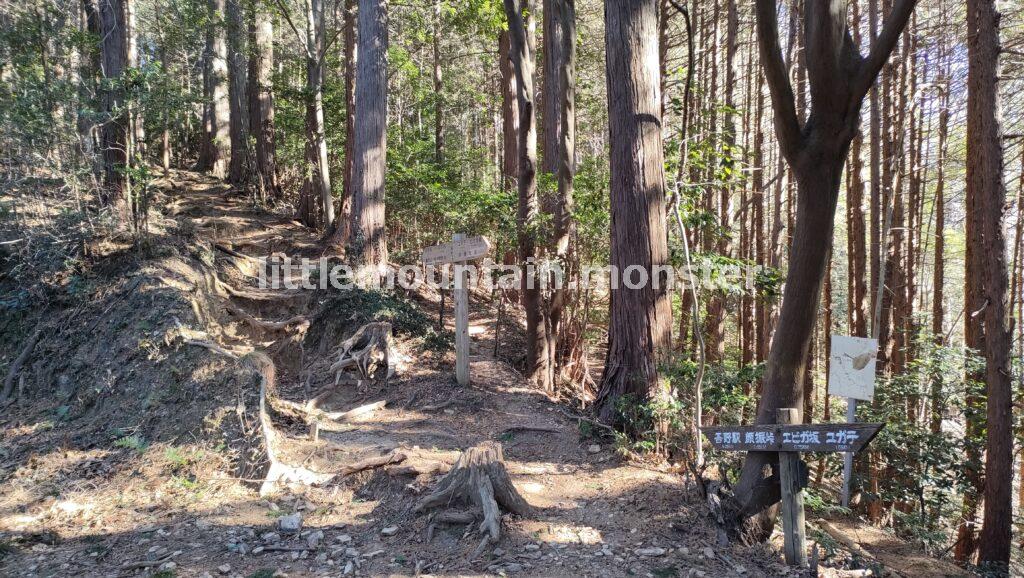 エビガ坂→茶之岳山→危険?岩超え→越上山山頂へ