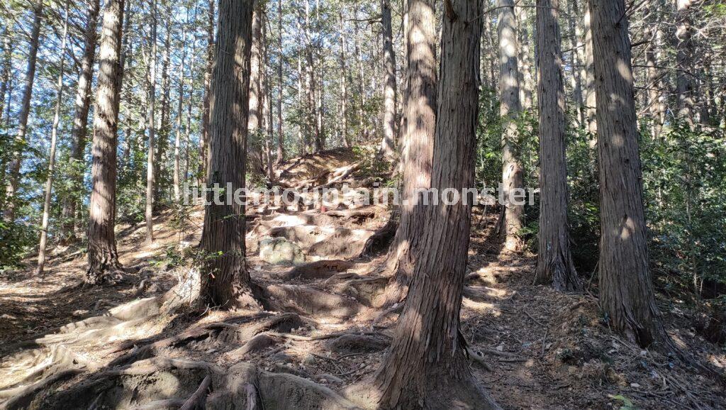 エビガ坂→茶之岳山→危険?岩超え→越上山山頂へ