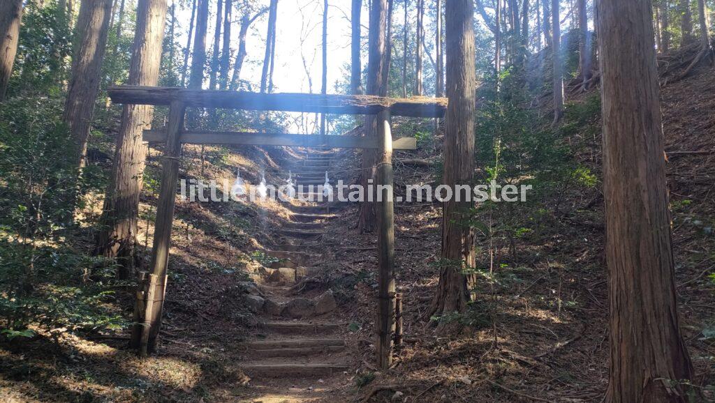 【登山メシ】顔振峠で、富士山の頭を愛でつつ山菜そばを食す
