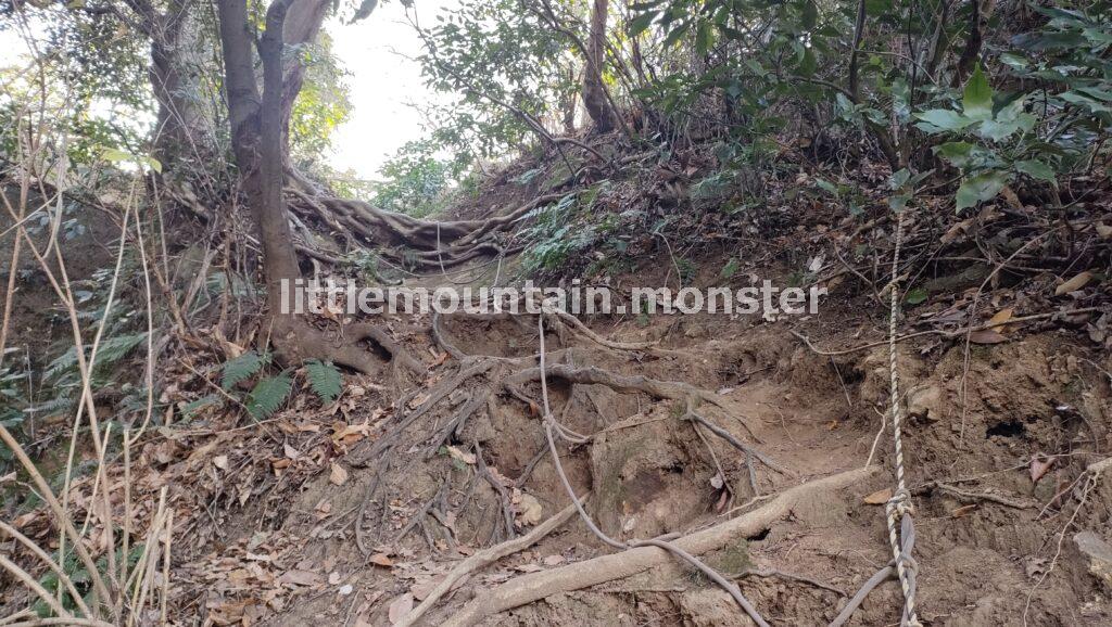 岩好きには堪らない！鷹取山(193m）からの絶景