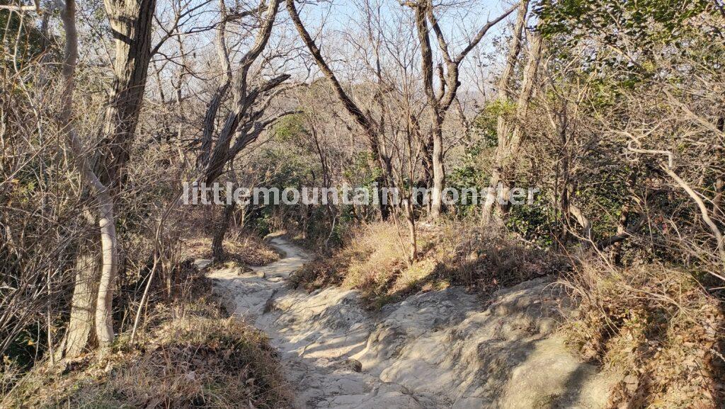 岩盤と鎖場！神武寺へハイキング