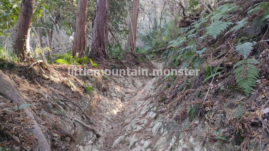 ふたつの山頂をクリア！二子山→阿部倉山と三浦アルプスをハイキング