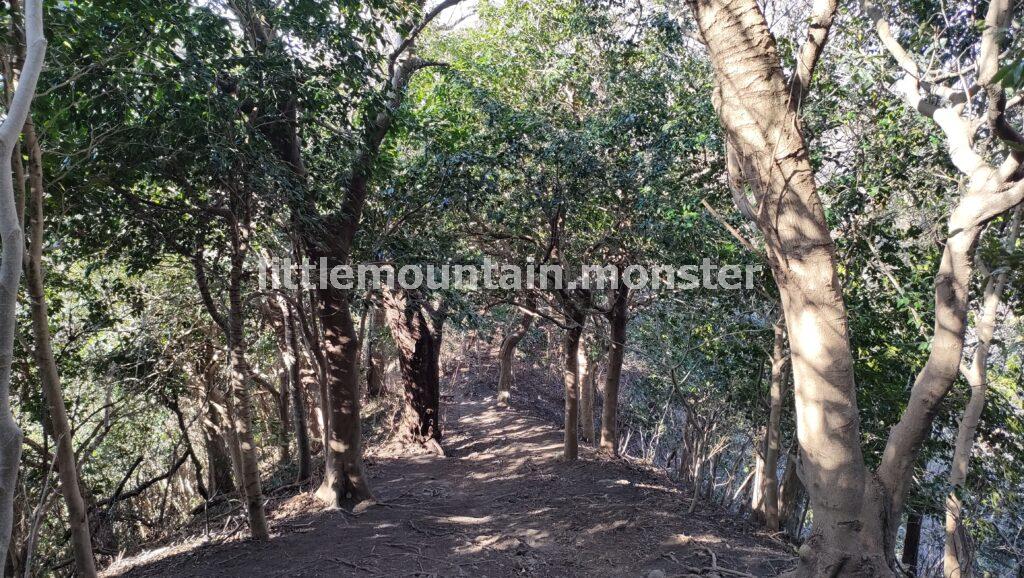 ふたつの山頂をクリア！二子山→阿部倉山と三浦アルプスをハイキング
