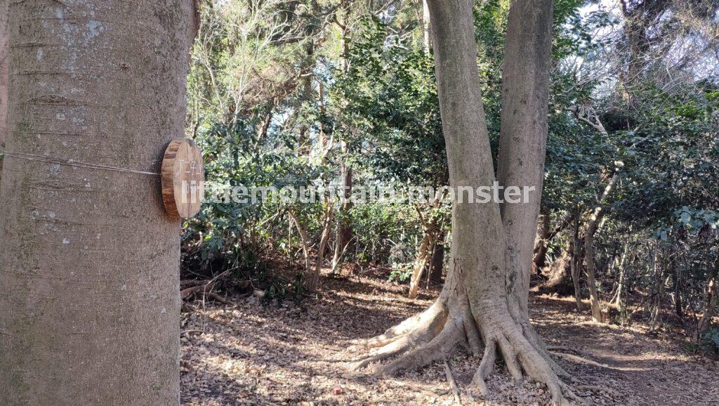 ふたつの山頂をクリア！二子山→阿部倉山と三浦アルプスをハイキング
