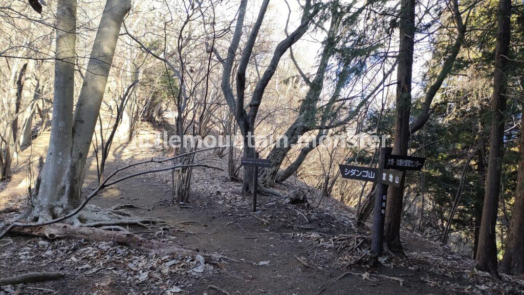 シダンゴ山山頂を目指して登るよ!