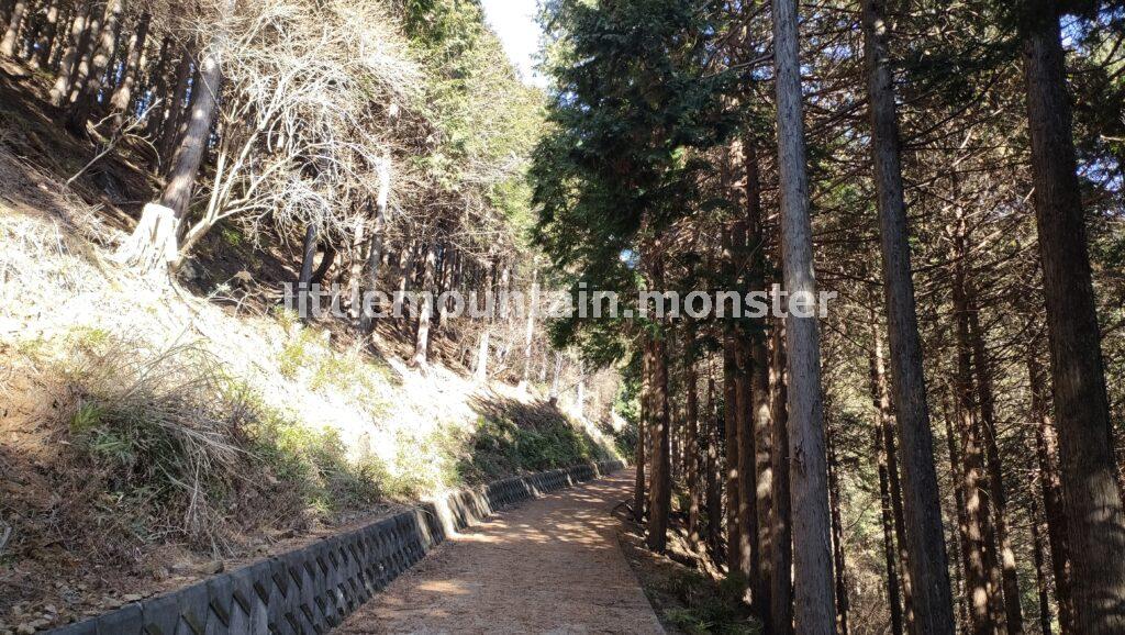 シダンゴ山山頂を目指して登るよ!