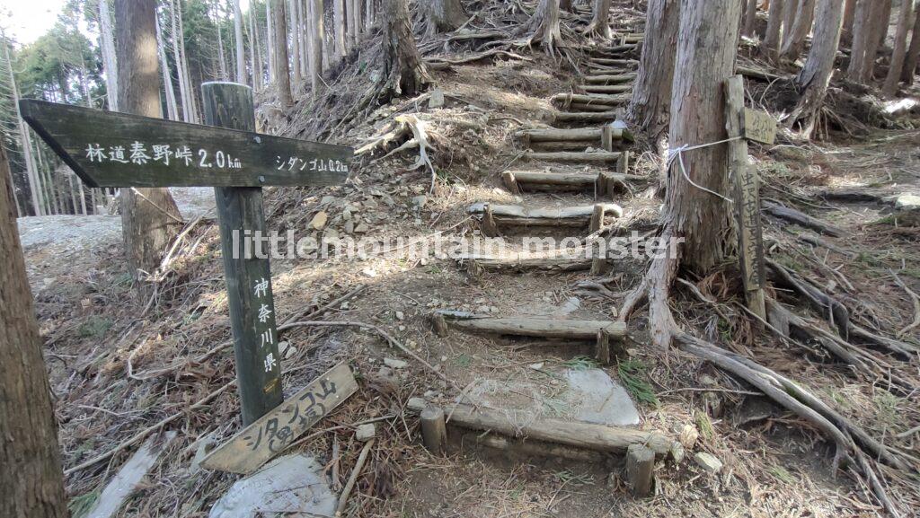 シダンゴ山山頂を目指して登るよ!