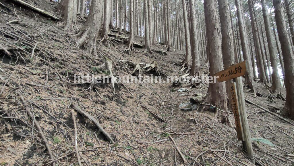 シダンゴ山山頂を目指して登るよ!