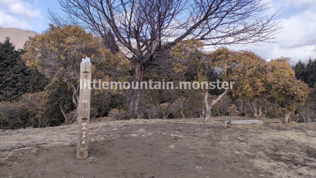 シダンゴ山山頂(758m)で、海を愛でつつひと休み!