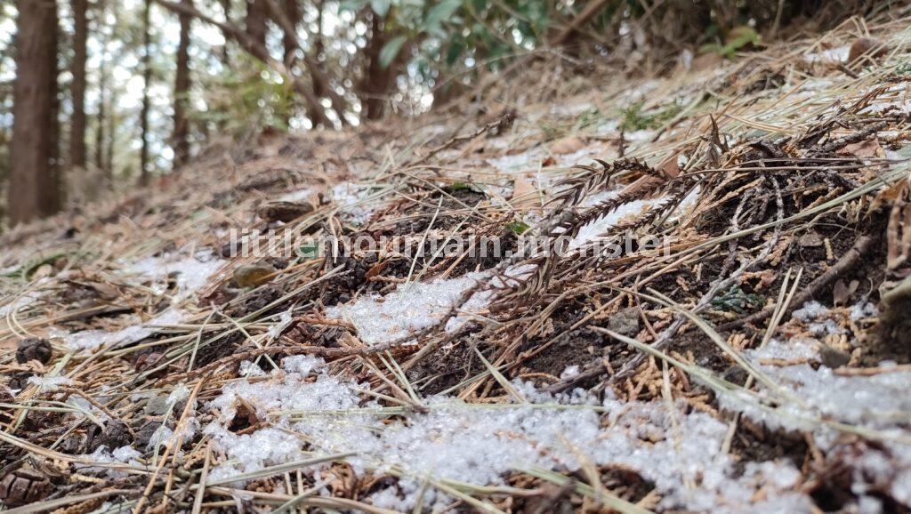 残雪・霜柱を踏みしめながら、下って行く