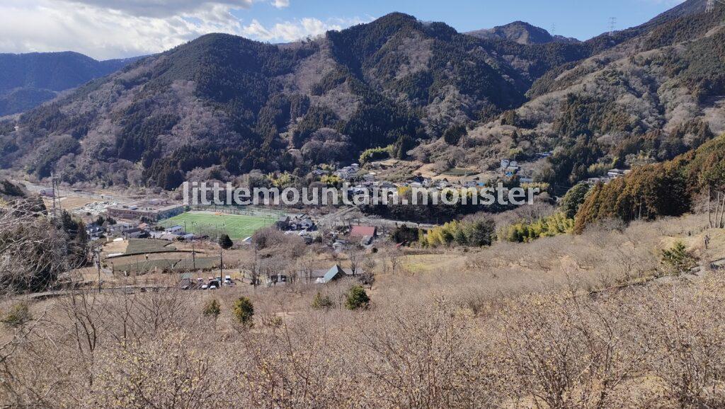 松田町寄ロウバイ園で黄色香りに微笑む