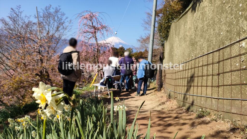 梅もあるよ!あぐりパーク嵯峨山苑に立ち寄ることに