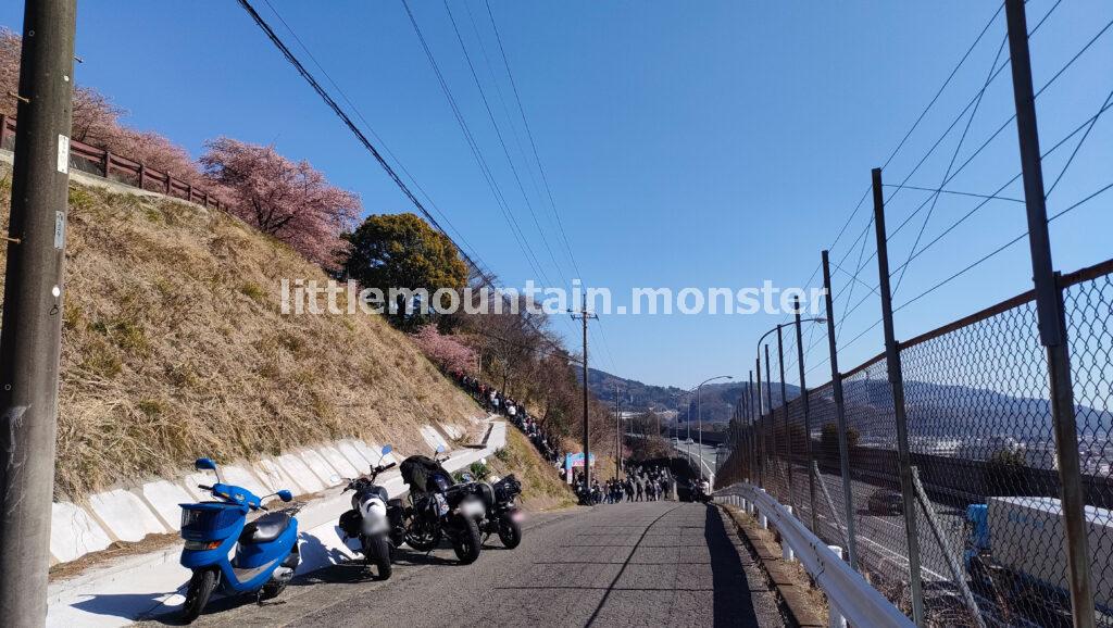 富士山ドーン!舗装コンクリの道を松田山山頂へ登る