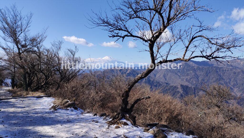 多くのひとに愛される！大山口登山口から山頂（1,252m）へ