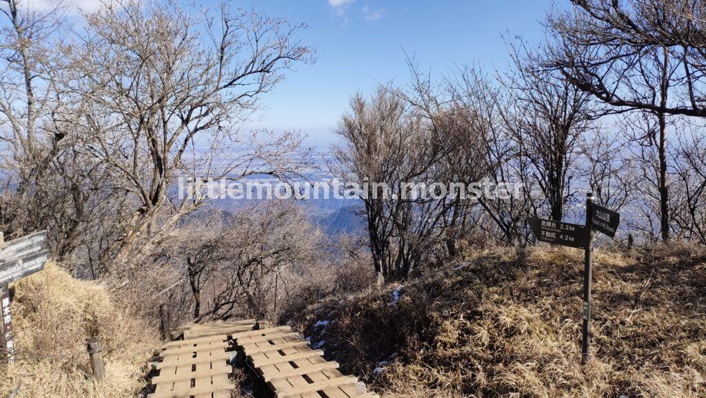 見晴台を目指して、大山を下山していくよ