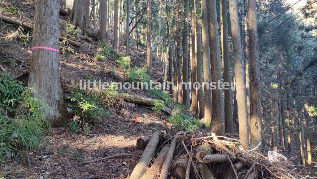 【注意】強石ルートのピンテは、必ずしも登山者用ではない